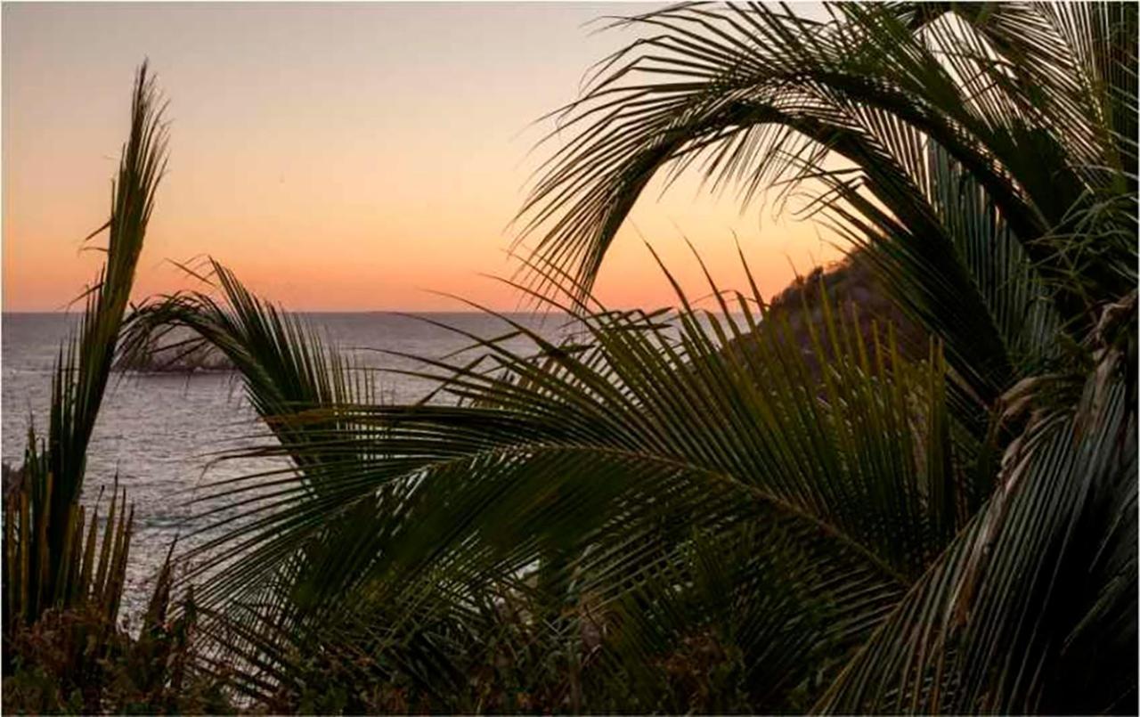 Casa Sol Zipolite Hotel Buitenkant foto